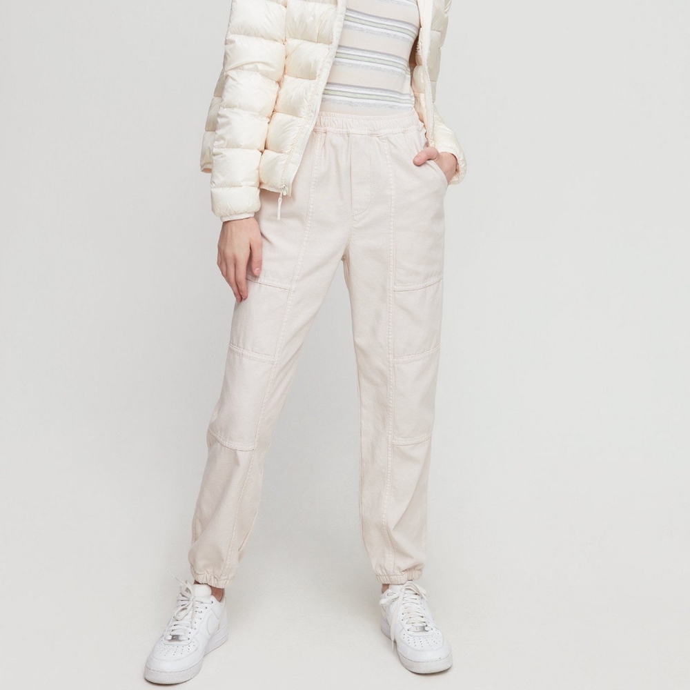 Aritzia Birch jogger